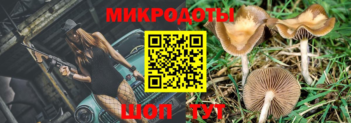 Галлюциногенные грибы прущие грибы Чернушка